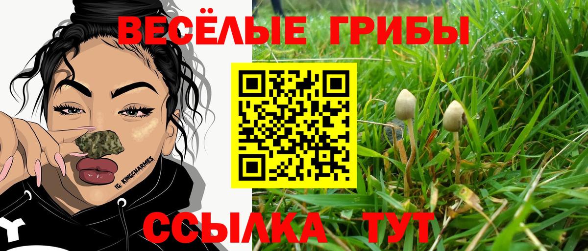 Псилоцибиновые грибы прущие грибы Батайск
